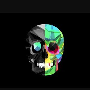 Meet your Posher, Harry